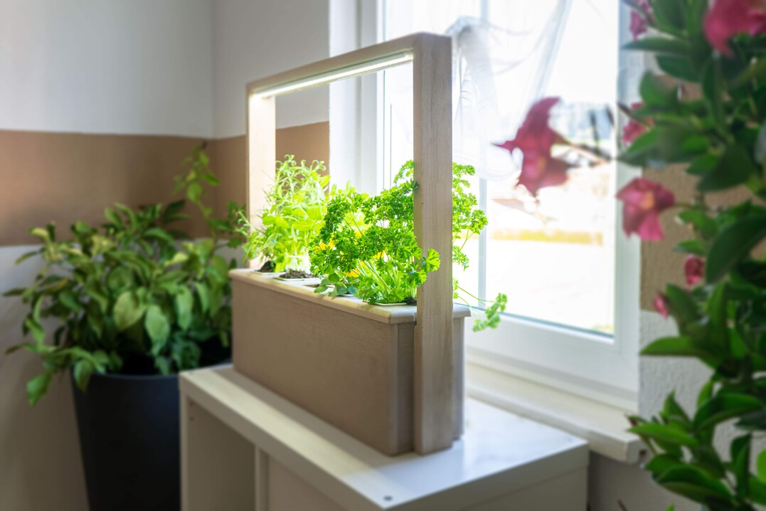 URGROW bringt den ersten nachhaltigen und smarten Indoor-Garten auf den Markt