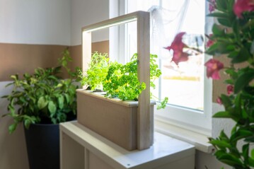 URGROW bringt den ersten nachhaltigen und smarten Indoor-Garten auf den Markt