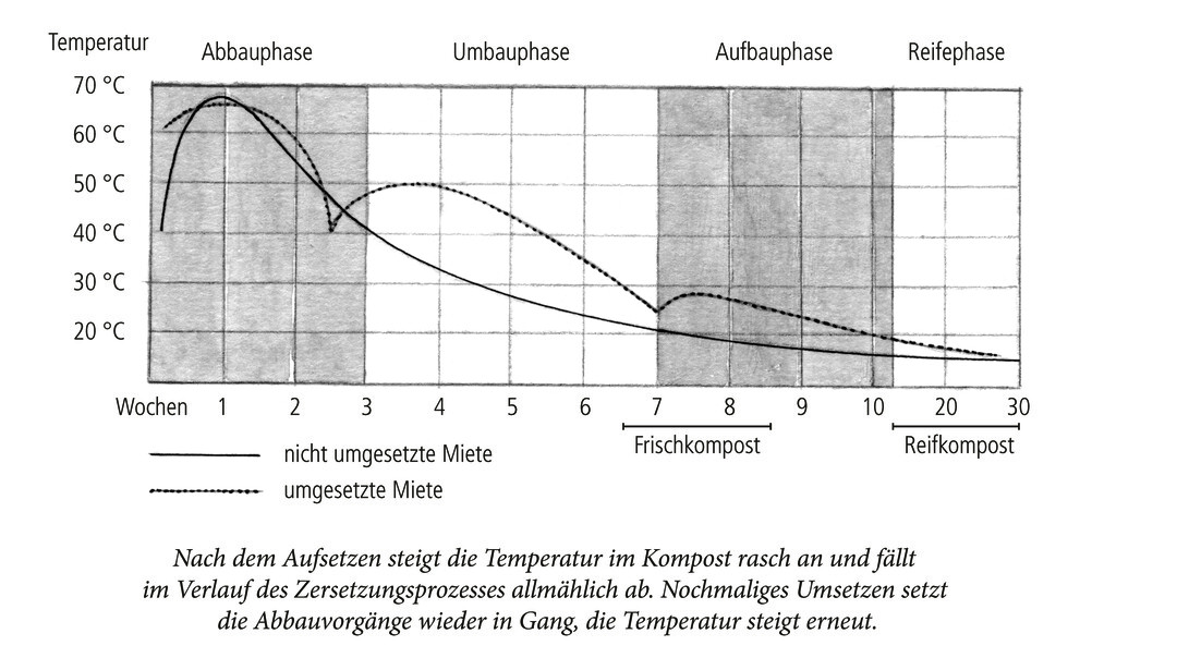 So verluft der Rotteprozess im Komposthaufen