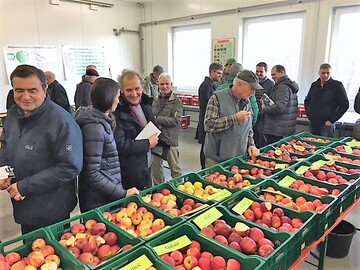 Im Wissenspaket als neue Form der Beratung sind verschiedene Veranstaltungen des KOB wie beispielsweise Hinweise zu neuen Sorten enthalten.