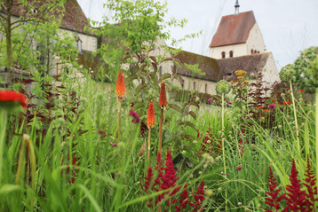 Die zeitgenssischen Staudenbeete greifen die Farben des gotischen Chors im Mnster St. Maria und Markus auf der Reichenau auf