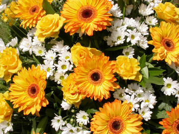 Blumenstrau