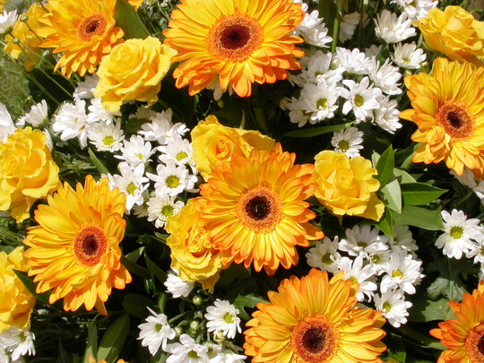 Blumenstrau