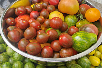 Tomaten verschiedene Sorten