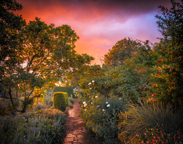 Spectacle of the Painted Storm von Max Rush ist Gesamtsieger des IGPOTY-Wettbewerbs 2025 und Sieger in der Kategorie Beautiful Gardens