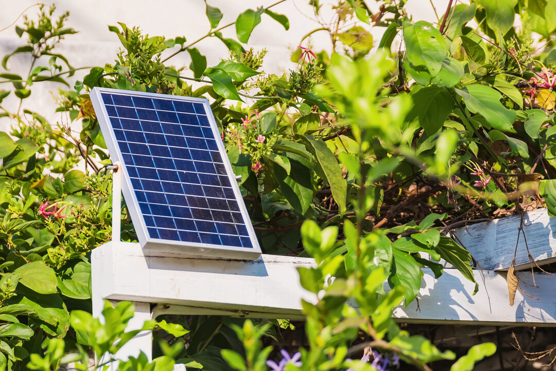 Besser freimachen: Um dieses Solarpanel wuchert eindeutig zu viel. Der Schattenwurf reduziert den Stromertrag