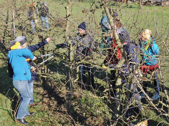 Frauenschnittkurs KOGL Emmendingen