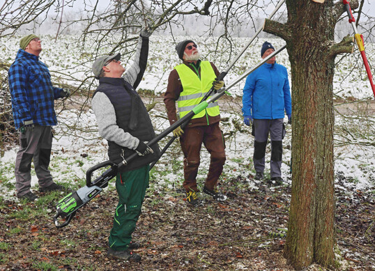 Helfer auf der Streuobstwiese