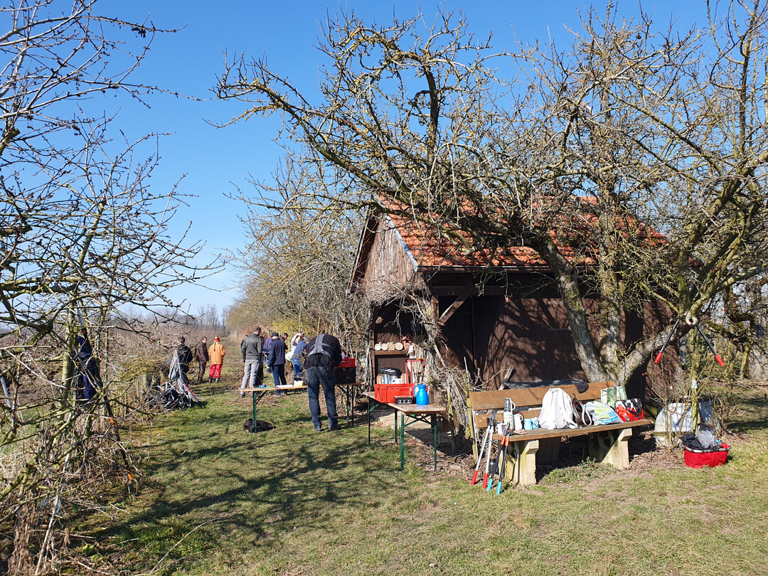 Gesucht werden Ideen, die z.B. das soziale Miteinander frdern und Ziele wie Klimaschutz oder nachhaltige Landwirtschaft verfolgen