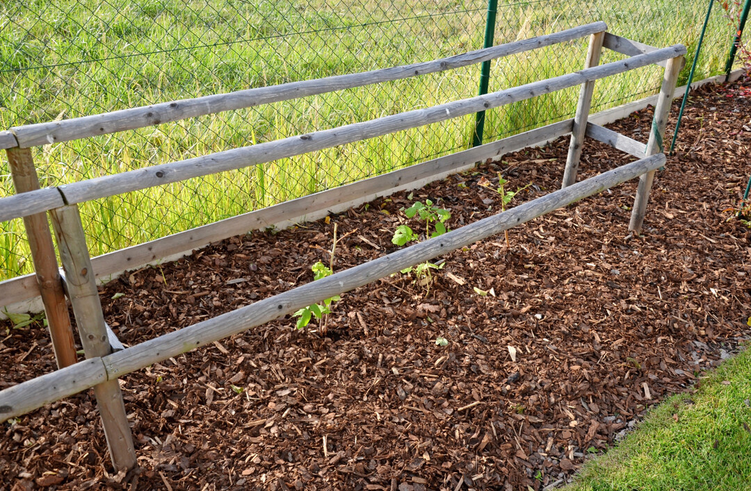 Rindenmulch oder Rindenhumus? Hier erfahren Sie, was die Unterschiede sind.