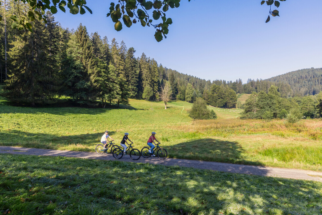 Das zirka 8 km Forbachtal zwischen Baiersbronn und Freudenstadt als Austragungsort der Gartenschau Tal X