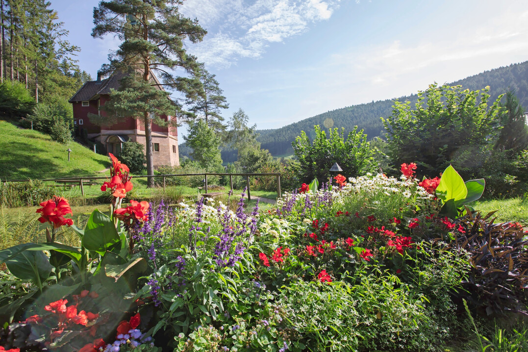 Michaelskirche 
im Xentrum mit neu gestalteter Wechselflorpflanzung