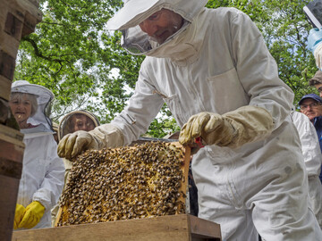 Bienenhaltung kann auch ohne Varroa-Behandlung gelingen. Das beweist unter anderem die Clive and Shane Hudsons Apiary in Wales, UK