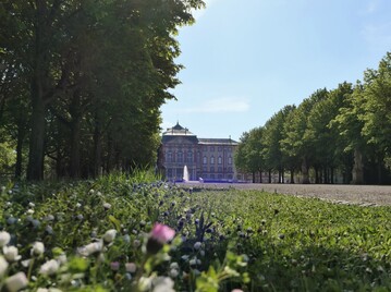 Im Schlossgarten Bruchsal gibt es einen Aktionstag zum Theme Insekten.