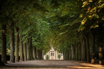Die Kastanienallee im Schloss Bruchsal
