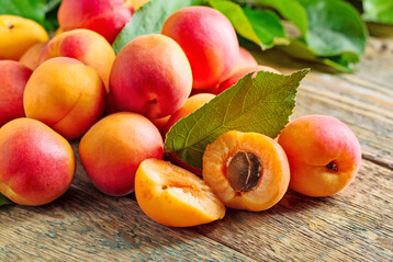 Aprikosen in Deutschland anzubauen, funktioniert immer ein bisschen, aber nicht so gut wie pfel oder Birnen