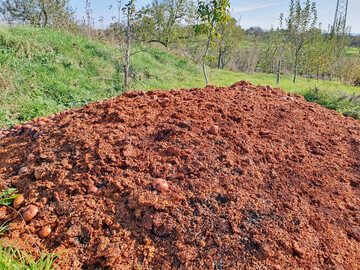 Apfeltrester auf Streuobstwiese