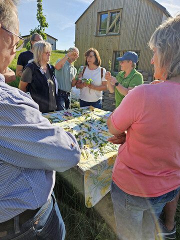 Fachwarte-Fortbildung zum Thema Wildkruter