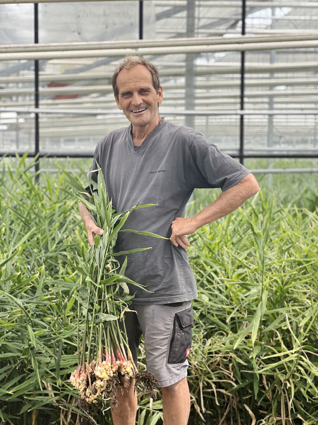 Friedbert Deggelmann bei der Ingwer-Ernte