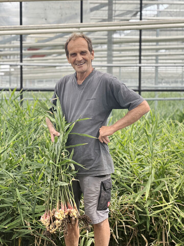 Friedbert Deggelmann bei der Ingwer-Ernte