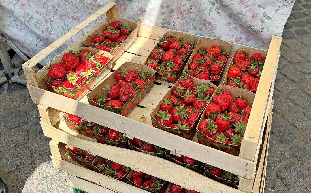 Die Erntemengen fr Freilanderdbeeren sind weiter rcklufig.