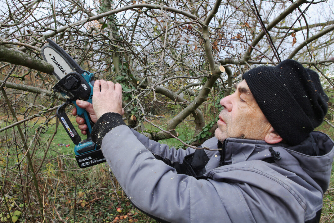Autor Ekkehard Musche beim Test: Es geh�ren stets beide H�nde an den S�gengriff
