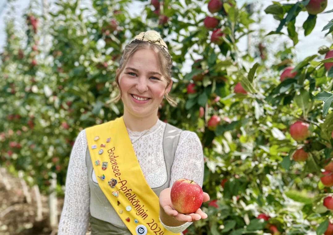 Die Apfelernte am Bodensee fllt in diesem Jahr Schtzungen zufolge um rund zehn Prozent geringer aus als im Vorjahr. Apfelknigin Emelie Witzigmann prsentiert einen Apfel aus der neuen Ernte.