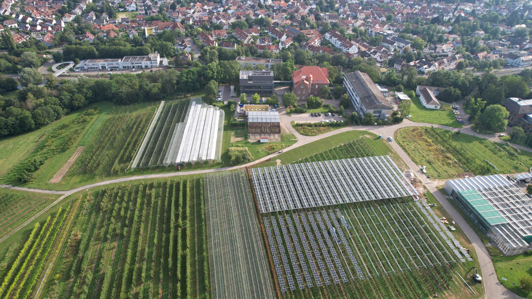 Der Flchenverbrauch in Deutschland ist zuletzt wieder gestiegen