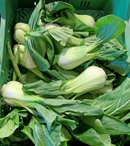 Im Oktober kann im Gewächshaus noch Gemüse mit kurzer Entwicklungszeit oder guter Frosthärte gepflanzt oder gesät werden.