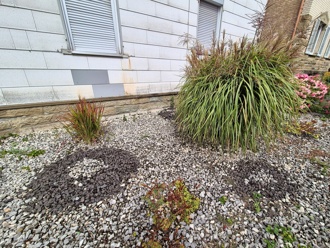 Neolithisches Erbe modern interpretiert: Kunstvoll setzen die Steinkreise das Unkraut in Szene, das diesen „Garten“ mit variantenreichen Grüntönen schmückt