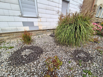 Neolithisches Erbe modern interpretiert: Kunstvoll setzen die Steinkreise das Unkraut in Szene, das diesen „Garten“ mit variantenreichen Grüntönen schmückt