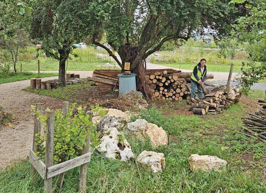 Das Foto zeigt einen ersten Blick auf das Gelände der Landesgartenschau Ellwangen 2026