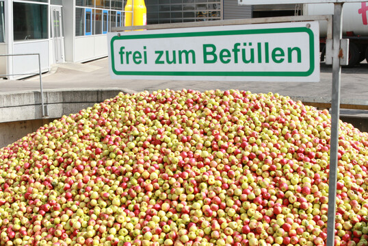 Anlieferung von Streuobst fr Apfelsaft