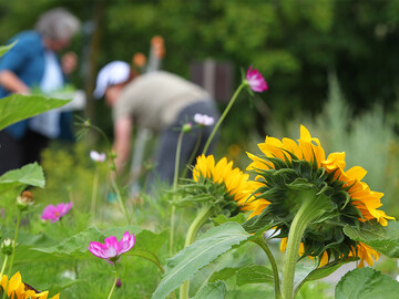 Passion und Leidenschaft fr den Garten? Dann werden auch Sie zu einem Gstefhrer Gartenerlebnis Bayern oder Gartenerlebnis Bodensee!