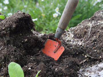 Torf ist der wichtigste Ausgangsstoff fr Substrate im Gartenbau