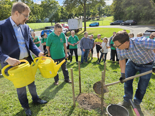 Baumpflanzung OGV Wenkheim