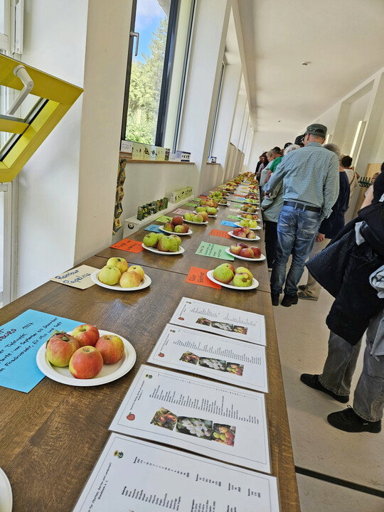 Obstsortenkartierung und Ausstellung