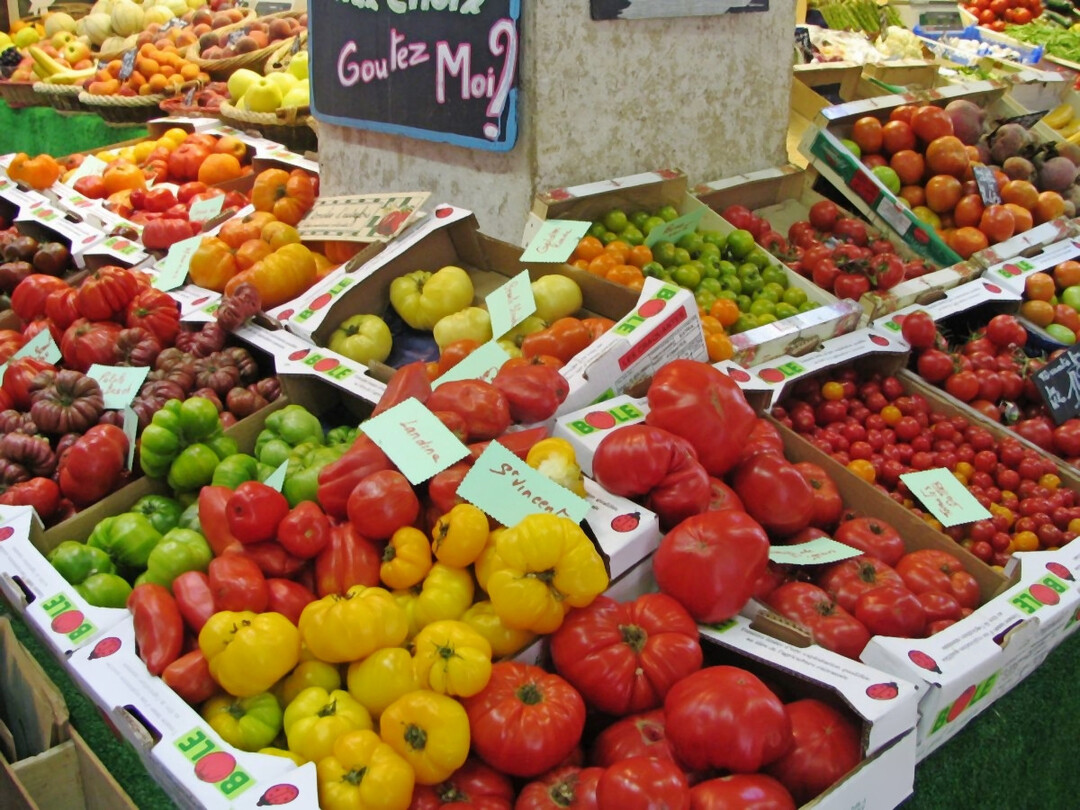 Frisches Gemüse, neue Züchtungstechnologien: Tomaten sind weltweit eine der wichtigsten Gemüsepflanzen – das Projekt INNO-TOM erforscht, wie sie widerstandsfähiger und nährstoffreicher werden können.