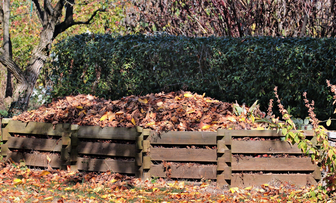 Aus Herbstlaub kann Laubkompost hergestellt werden