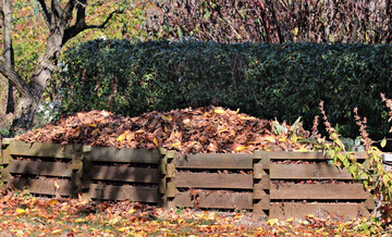 Aus Herbstlaub kann Laubkompost hergestellt werden