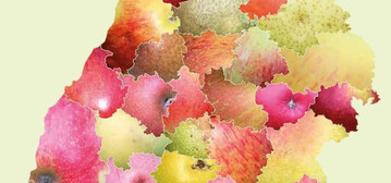 Durch das Projekt Streuobst-Patenschaften haben 32 Landkreise in Baden-Wrttemberg die Patenschaft fr jeweils drei Streuobstsorten bernommen.