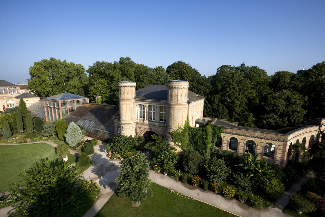 Am 12. Juni findet ein Riech- und Geschmacksrundgang im Botanischen Garten in Karlsruhe statt.
