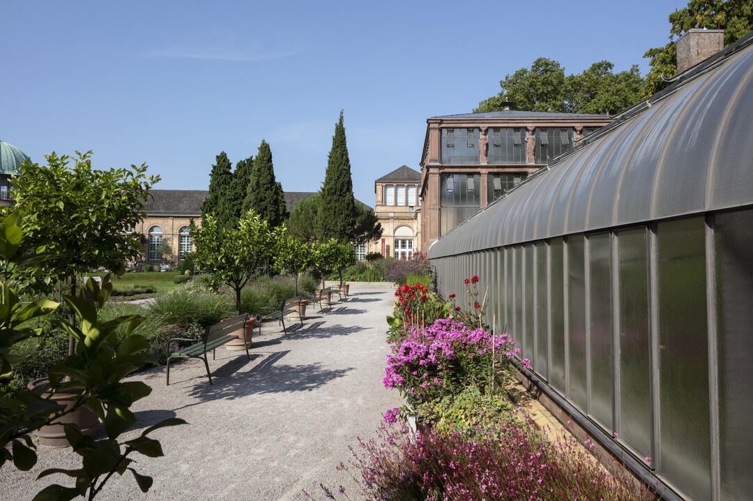 Im Botanischen Garten Karlsruhe finden im September Führungen statt.