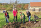 Baumpflanzaktion im Freilichtmuseum Beuren