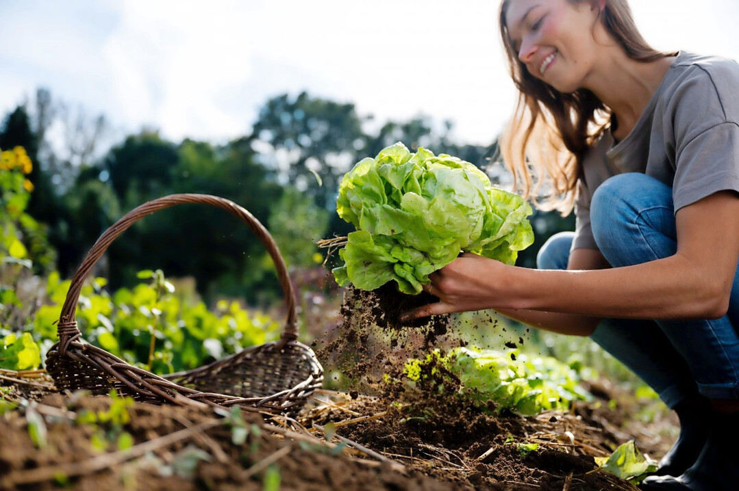 Seit der Grndung 2019 ist die internationale Fryd-Gemeinschaft auf fast 350.000 Nutzer:innen angewachsen, die sich in der deutsch- und englischsprachigen App zusammenfinden, um ihr Wissen ber nachhaltigen Anbau und Ernhrung zu vertiefen sowie das Bewusstsein fr unsere Natur und unseren Planeten zu strken.