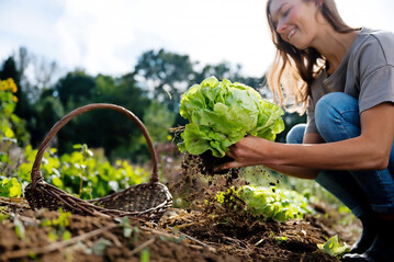 Seit der Grndung 2019 ist die internationale Fryd-Gemeinschaft auf fast 350.000 Nutzer:innen angewachsen, die sich in der deutsch- und englischsprachigen App zusammenfinden, um ihr Wissen ber nachhaltigen Anbau und Ernhrung zu vertiefen sowie das Bewusstsein fr unsere Natur und unseren Planeten zu strken.