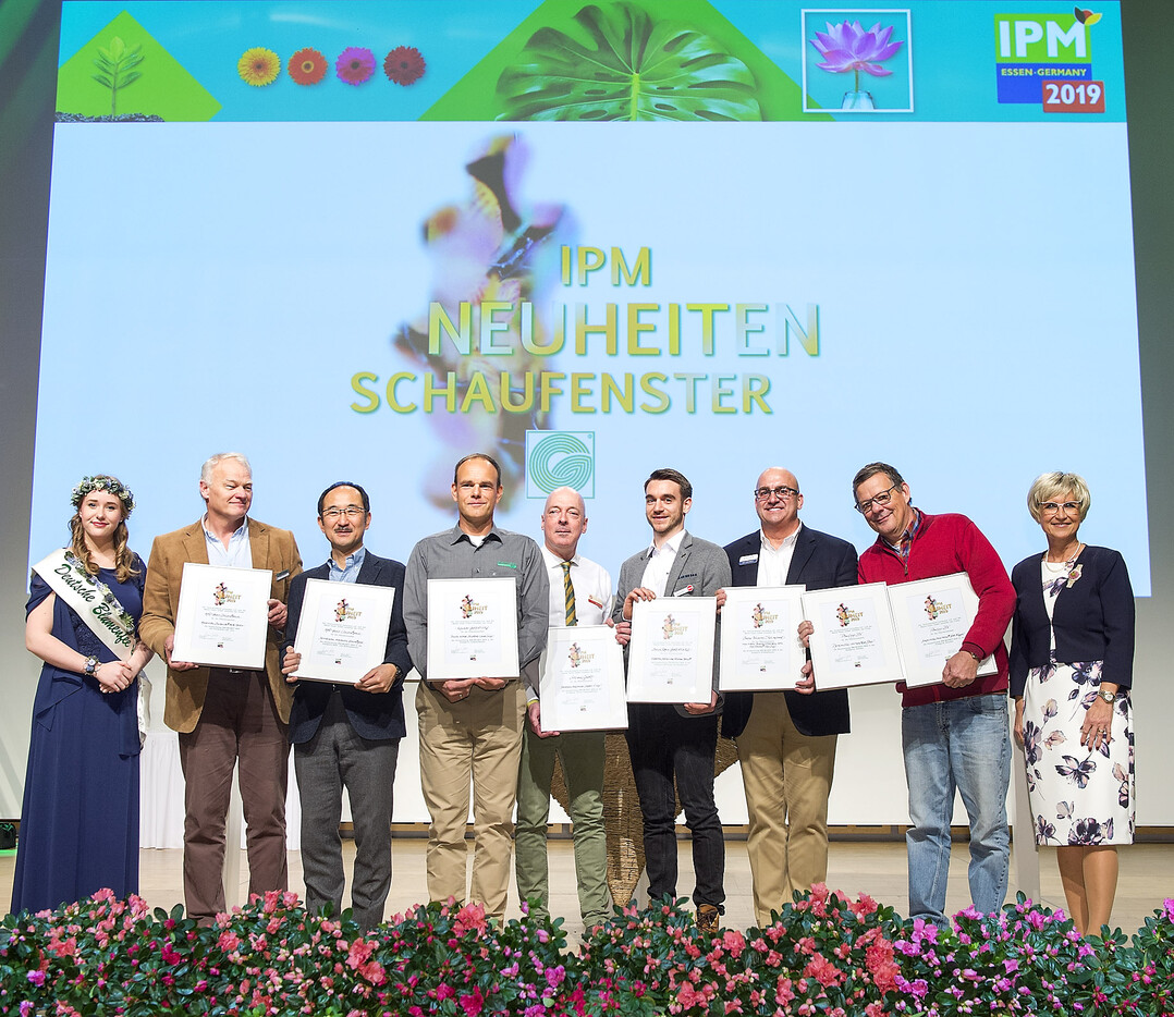 Die Gewinner des Neuheitenschaufensters