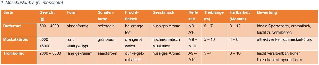Moschuskrbissorten (C. moschata)  