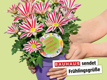 Alten- und Pflegeeinrichtungen in ganz Deutschland erhalten florale Gre