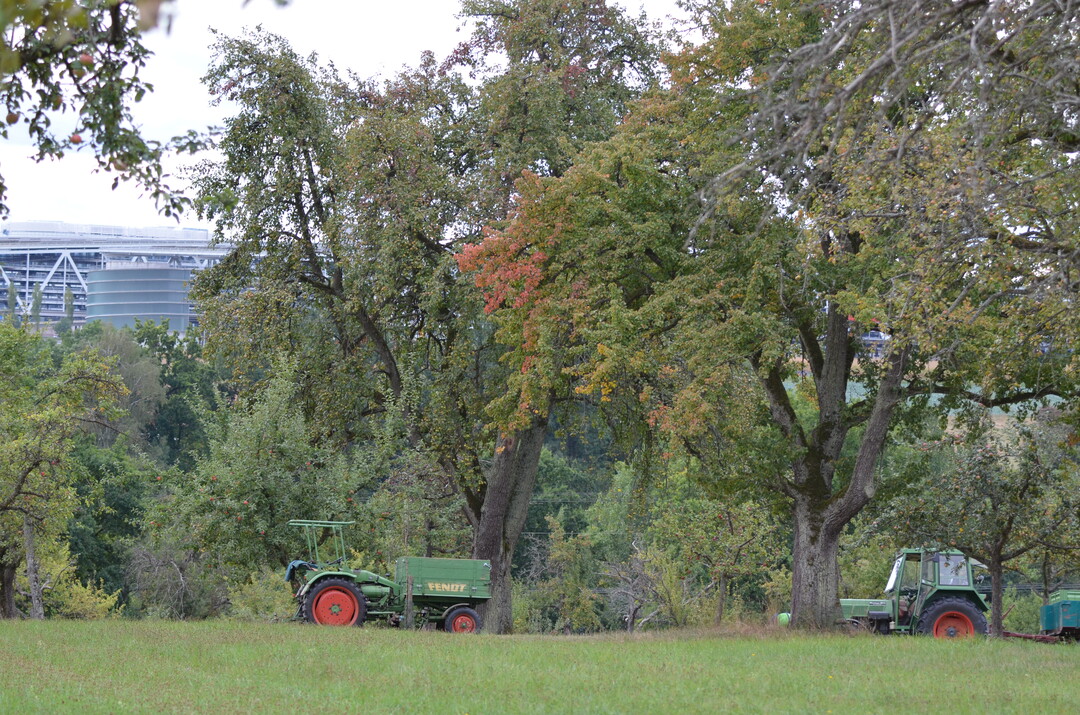Auch Lebensräume brauchen Pflege. Obstwiesen – gewachsene Heimat, Gen-Reservoir und Open-Air-Trendsetter